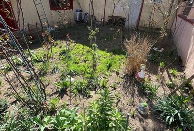 Două case Coiciu-Inel 1 - 2