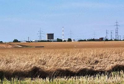 Vanzare Teren intravilan 10000mp Balaceanca - 14