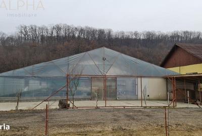 Spațiu comercial, de 1,300 mp, în Blăjenii de Sus - 8