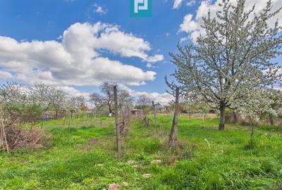 Casă individuală cu 4 camere cu Canalizare în Șișterea - 19