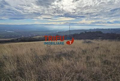 Teren de 1400 mp, în Central