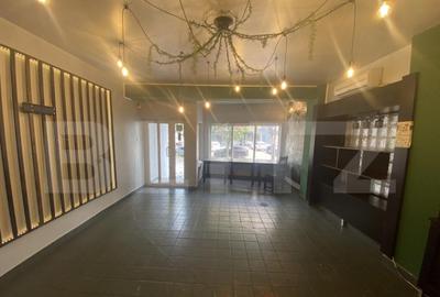 Cladire comerciala, 377 mp, zona Bulevardul Gheorghe Chitu - 18