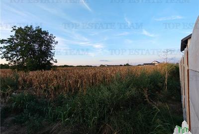 Teren Construcții intravilan de 2965 mp, în 1 Decembrie - 3