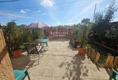 Duplex pe parter Tamasi padure - 2