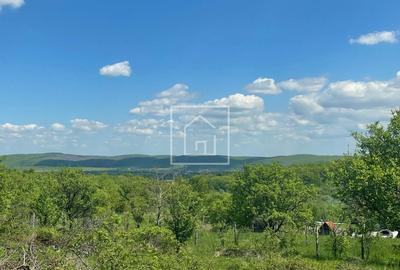 Teren Construcții intravilan de 1000 mp, în Sibiel - 3