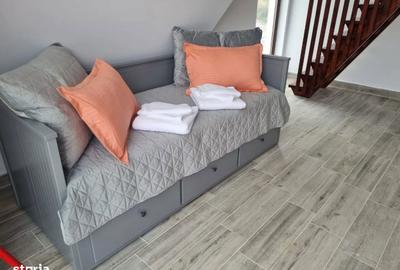 Spațiu comercial, în Boiștea - 8