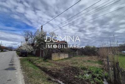 Teren de 6504 mp, în Curtișoara - 2