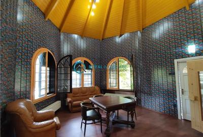 Royal Imobiliare -vanzare vila/ casa de vacanta zona CAMPINA - 11