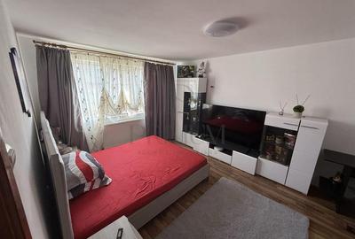 Apartament 1 camera-decomandat-Calea Buziasului - 2