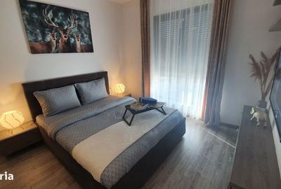 Apartament cu 2 camere, mobilat în Dumbrăvița - 5