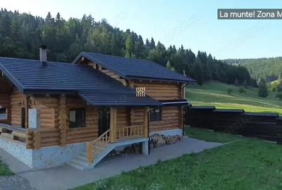 Cabana din Busteni in Bucovina! De Vanzare! 0727817187 - 3