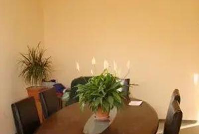 2 Hale cu birouri, vestiare, sala de mese si grupuri sanitare, teren 8868mp, E60, Tileagd BH, - 7