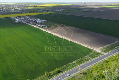 Teren Construcții intravilan de 6182 mp, în Sânandrei - 4