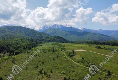 Teren intravilan 1000 mp de pe Valea Avriguluiu - 2