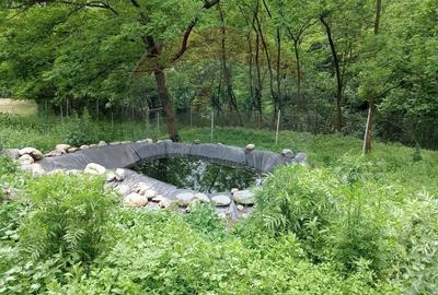 Casă individuală cu 4 camere cu Teren 11016 Mp în Valea Babei - 28