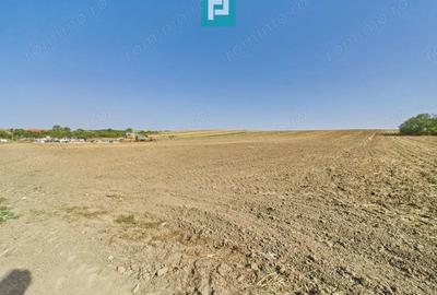 TEREN REMETEA MICA, JUDE?UL TIMI? - 6