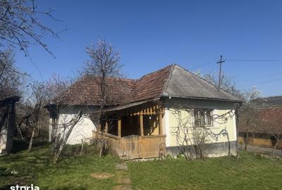 Casă cu 3 camere cu Teren 3500 Mp în Băița - 3