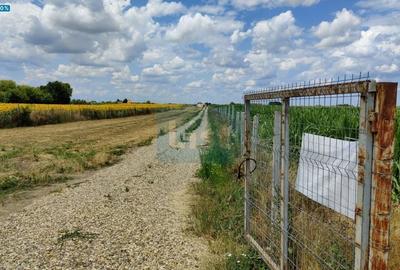 Teren agricol intravilan de 9100 mp, în Apa - 1