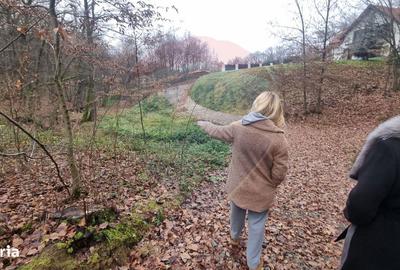 Teren de 924 mp, în Tăuții-Măgherăuș - 7