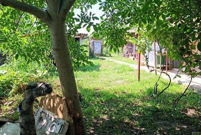 Casă cu 2 camere în Șag - 1