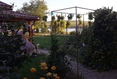 Casă individuală cu 3 camere cu Teren 300 Mp în Horia - 19