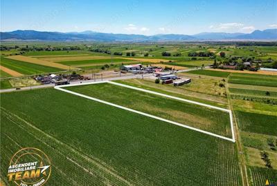 8.400mp, la DN12, cu Certificat Urbanism, teren intravilan, Chichis, Covasna.