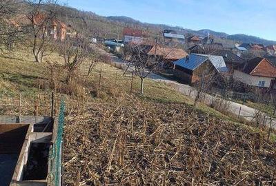 Teren de 1300 mp, în Albești - 3