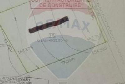 Teren agricol extravilan de 4956 mp, în Letea Veche - 7