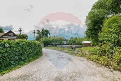 Teren intravilan cu funda?ie, proiect de casa, Avram Ian... - 7