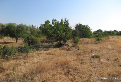 Teren de 1500 mp, în Aradul Nou - 5