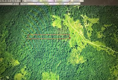 Teren de 15000 mp, în Central - 1