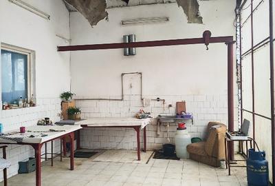 Spațiu industrial, 428 mp în Bărăbanț - 6