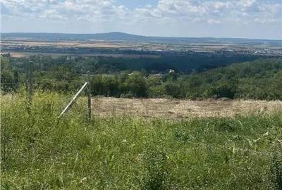 Teren de 1675 mp, în Podgoria - 5