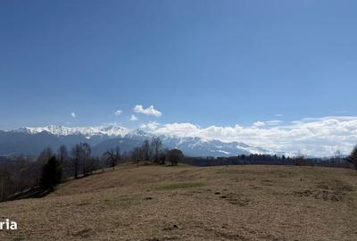 Spațiu comercial, în Peștera - 3