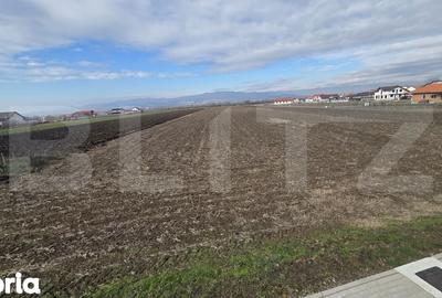 Teren de 14300 mp, în Ciugud - 6