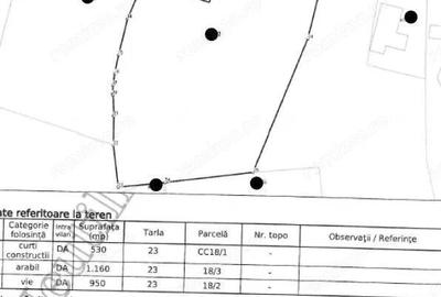 Casă cu Teren 2640 Mp în Rediu - 8