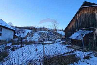 Casă cu 6 camere cu Teren 2803 Mp în Central - 11