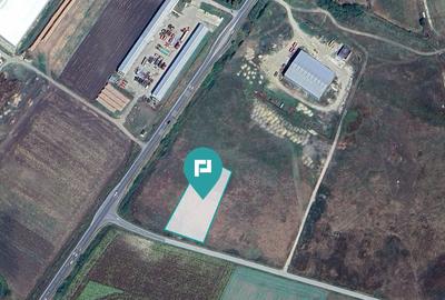 Teren Construcții intravilan de 10000 mp, în Ciumeghiu - 4