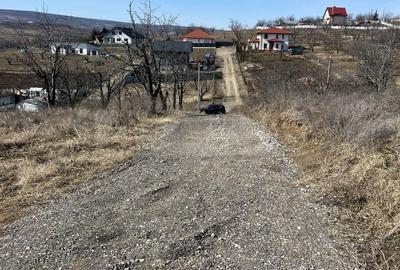 Teren de 10000 mp, în Central - 2
