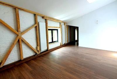 Vila 7 camere  Dacia - 9
