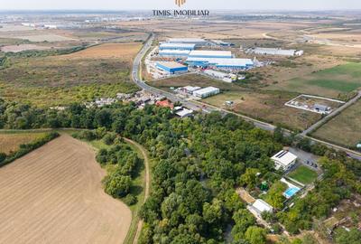 Teren 7.500 mp cu FS 91 m la E70 si Bega – ideal dezvoltare servicii - 3