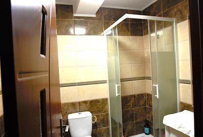 Vila mobilata si utilata in Izvor - 8