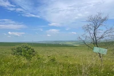 Teren agricol de 18100 mp, în Tureni - 1