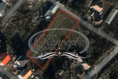 Teren intravilan generos cu utilitati si front larg in Jucu - 7
