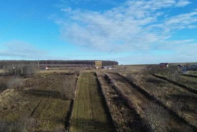 Teren de 2460 mp, în Burdujeni - 11