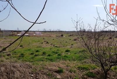 Teren Construcții intravilan de 798 mp, în Peciu Nou - 1