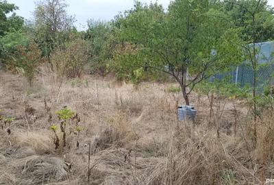 Vand casa in Alexandria - 3