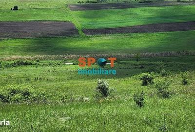 Spațiu comercial, în Vișea - 8