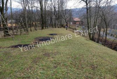 Teren de vanzare in comuna Arefu, jude? Arge?. - 6