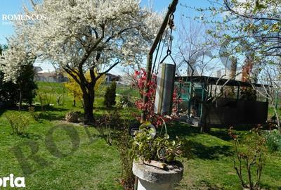 Spațiu comercial, de 430 mp, în Căteasca - 14